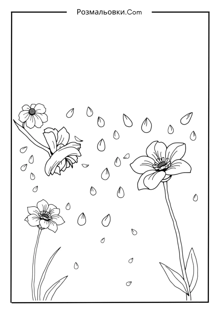  Квітковий дощ
