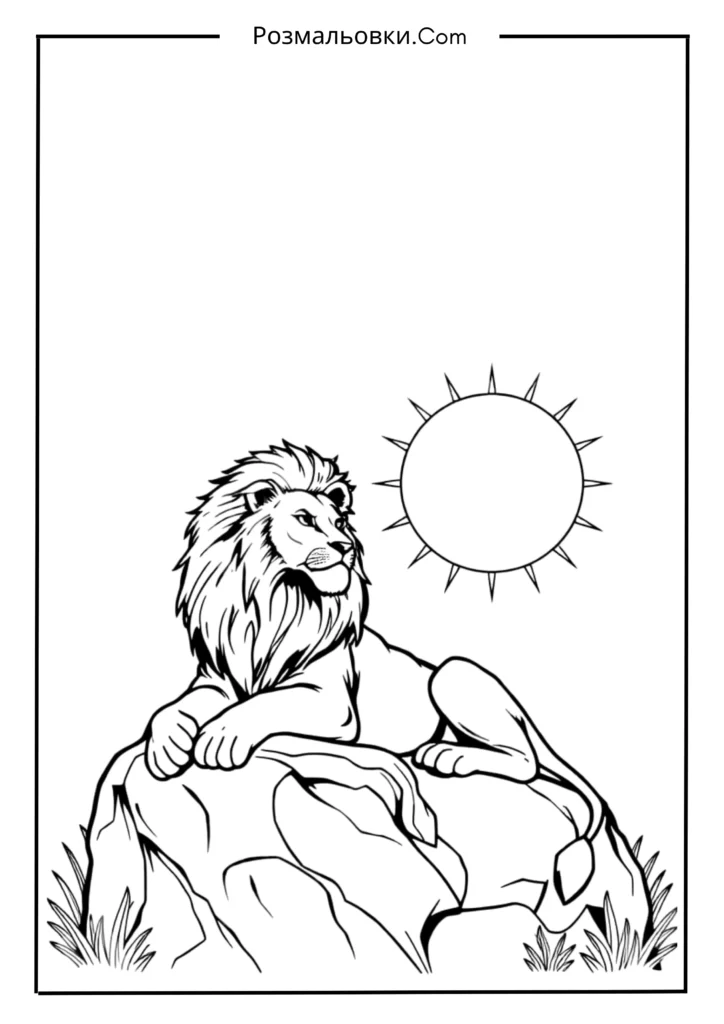 Левиця, що гріється на камені під сонцем