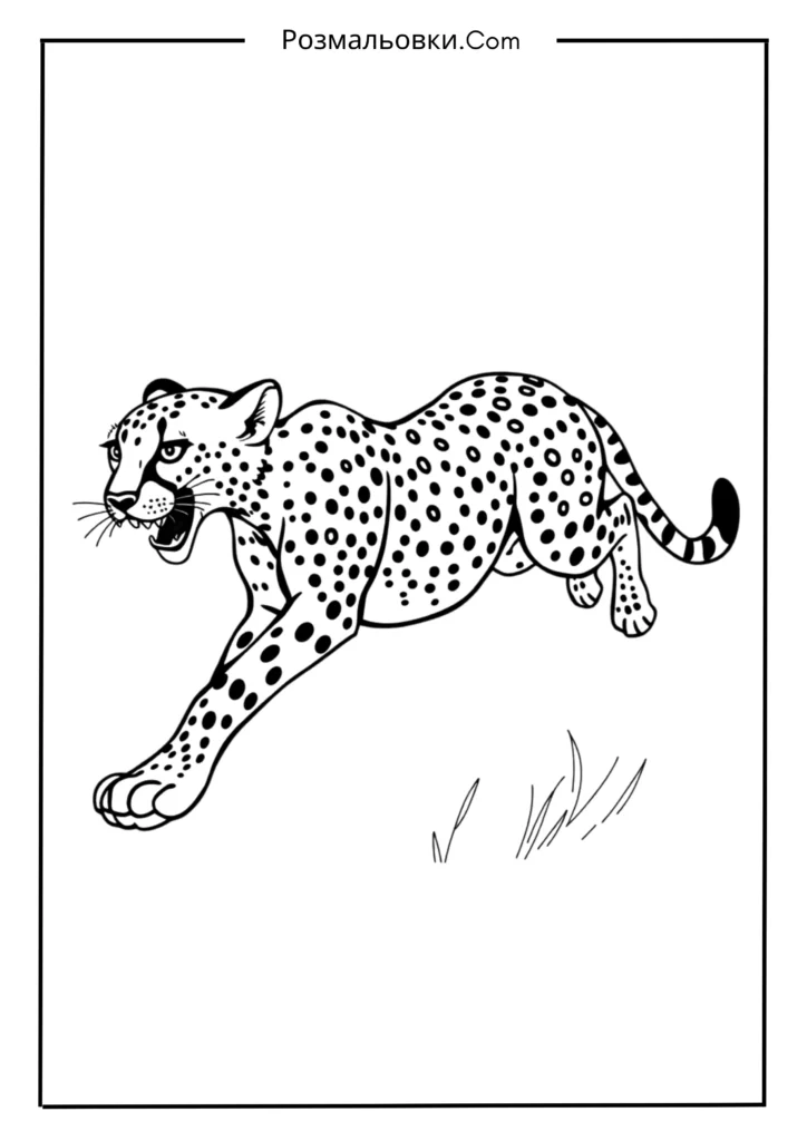 Розмальовка тварини: 20 найкращих ідей для творчості дітей 16 Гепард, що біжить