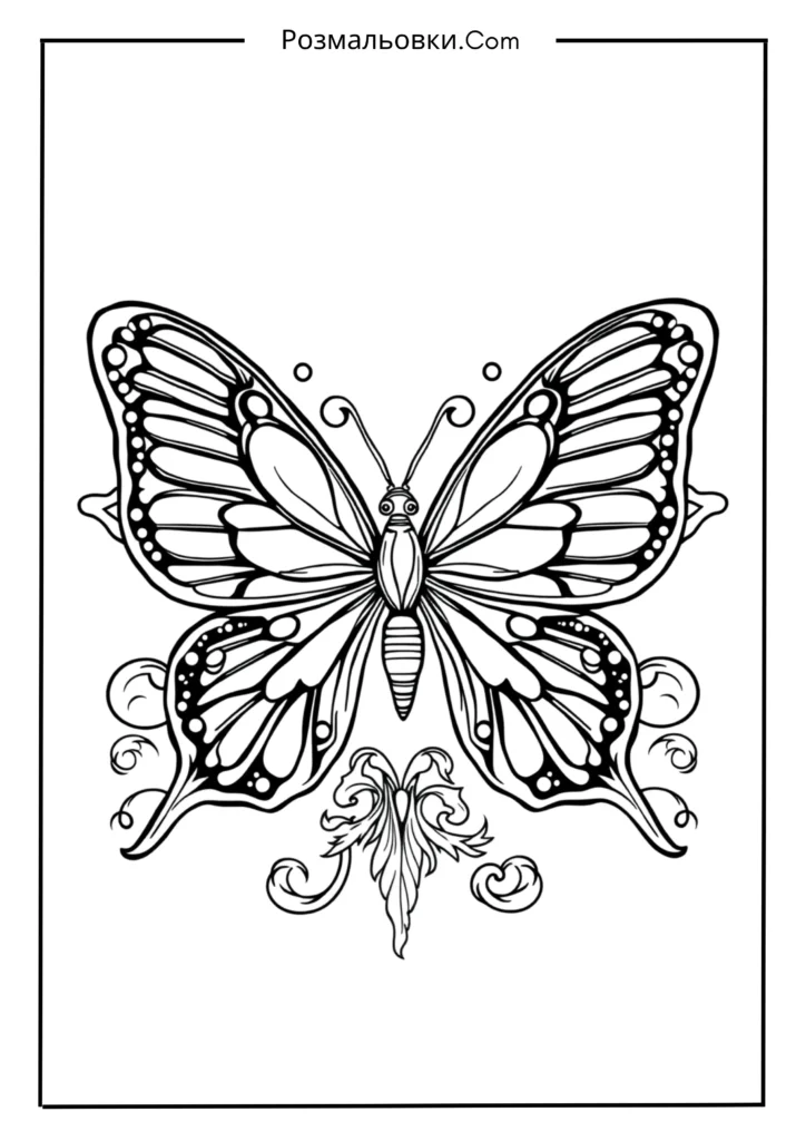 Королівський метелик