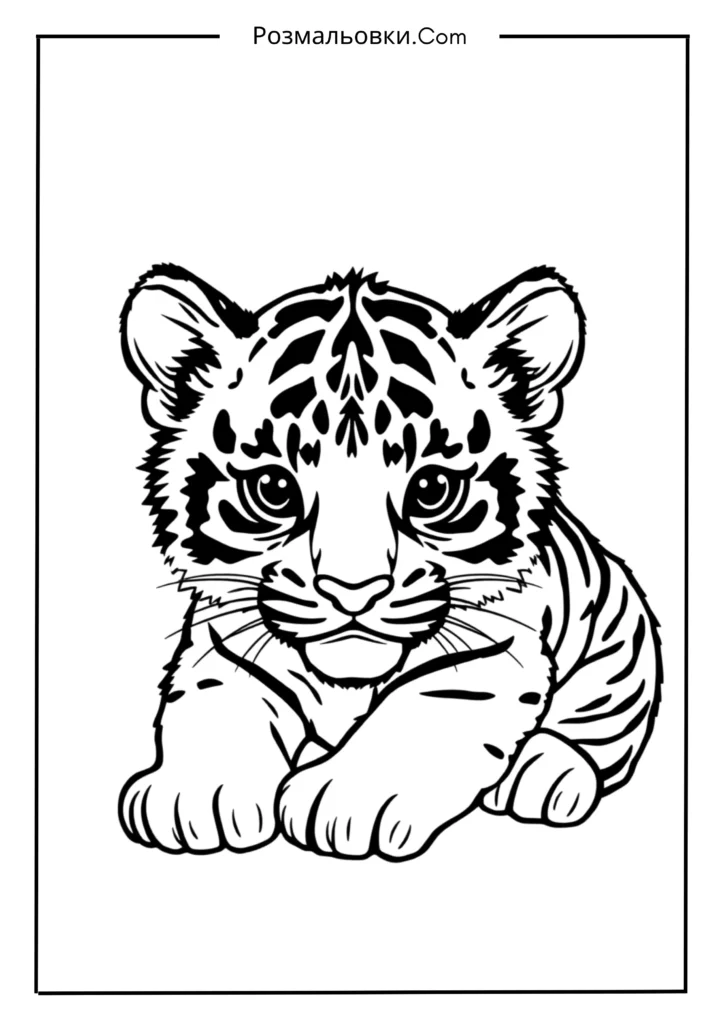 Розмальовка тварини: 20 найкращих ідей для творчості дітей 12 Маленьке тигреня