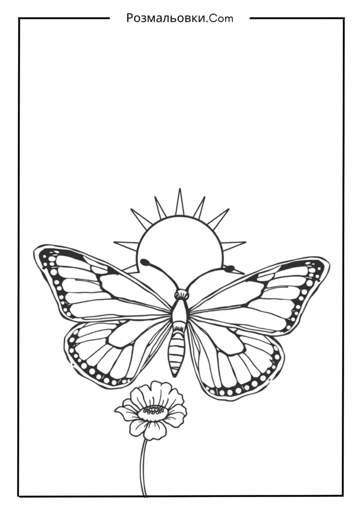 Метелик і сонечко