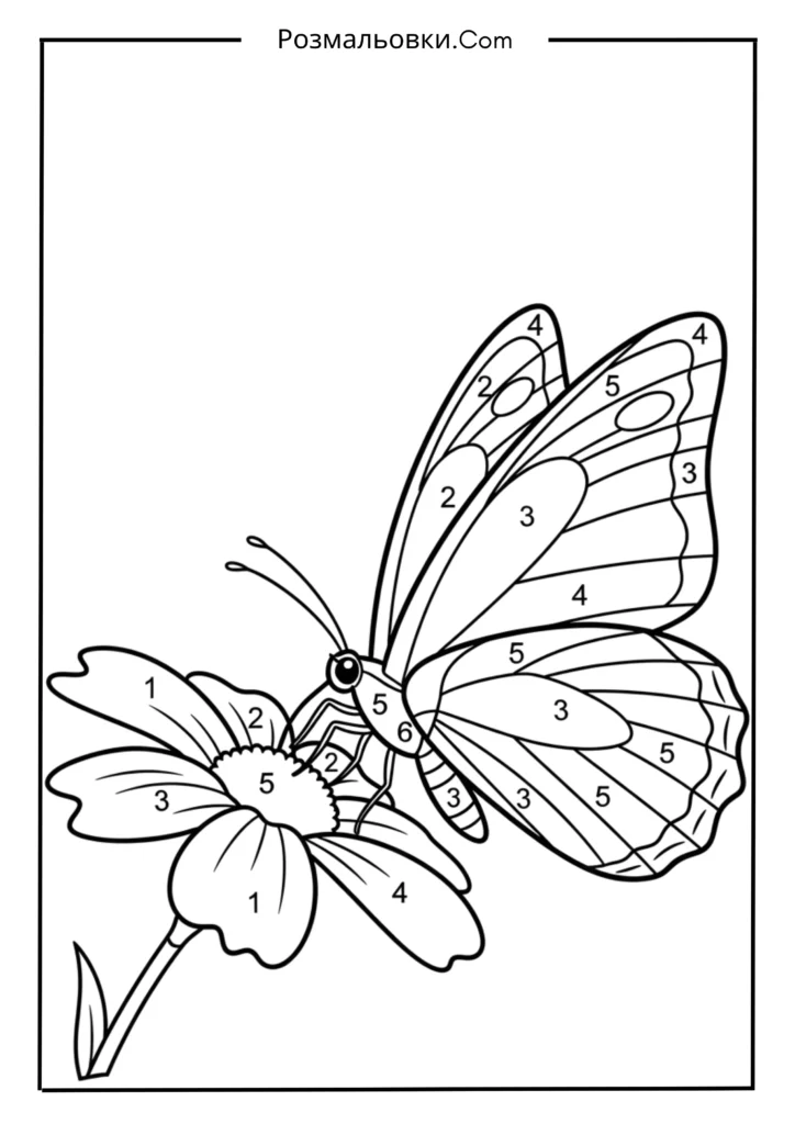 Розфарбовування за номерами з 18+ найкращими ідеями для дітей, які люблять номерами 18 Метелик на квітці