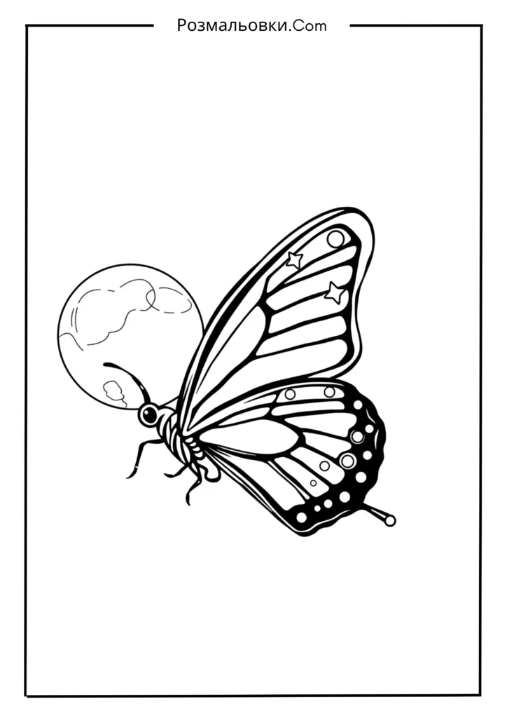 Метелик уночі