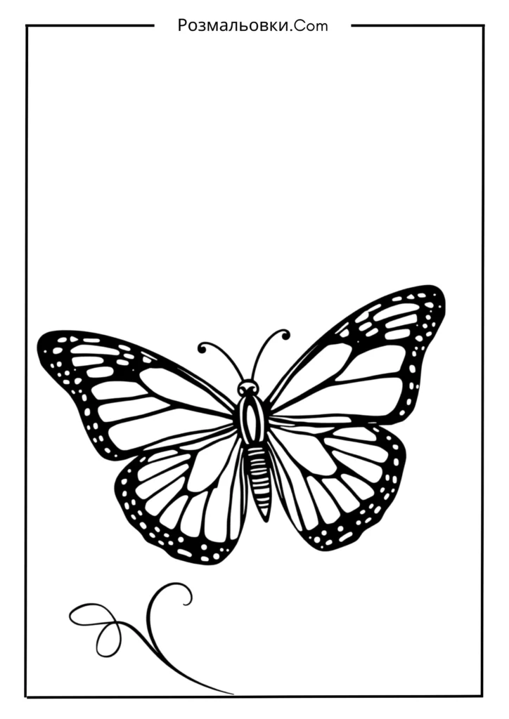 Метелик з геометрією