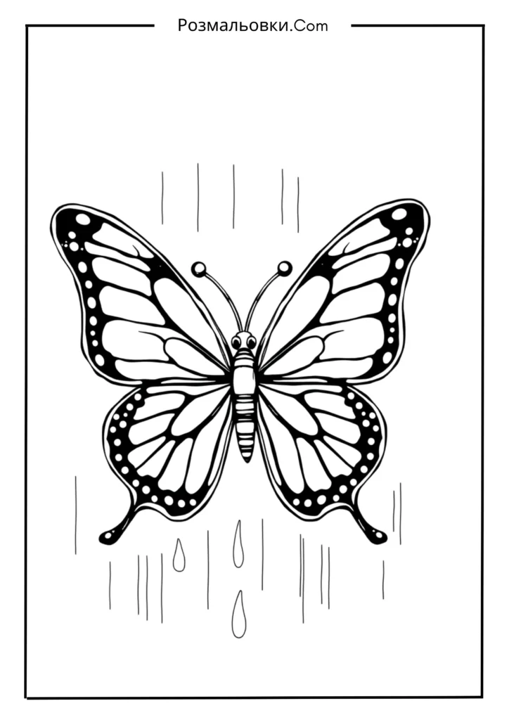 Метелик з краплинками