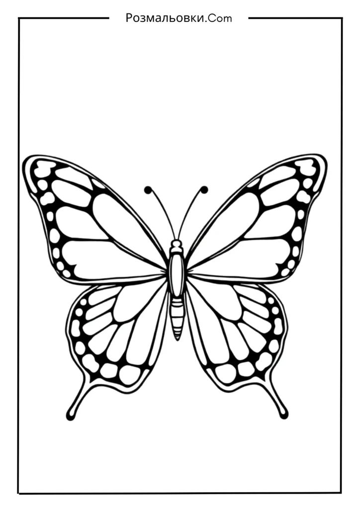 Метелик з об’ємними лініями