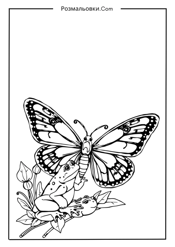 Метелик з жабкою