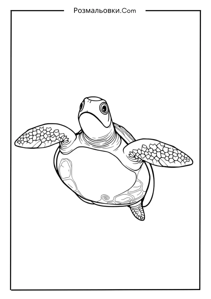 Водні розмальовки: 19+ творчих ідей для дітей 12 Морська черепаха
