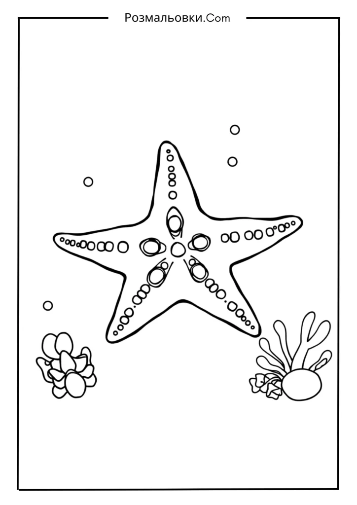 Патрік і морські зірки