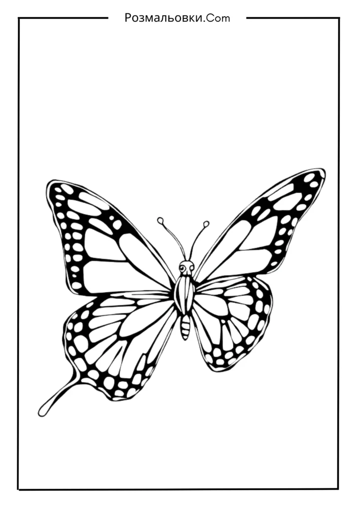 Повітряний політ