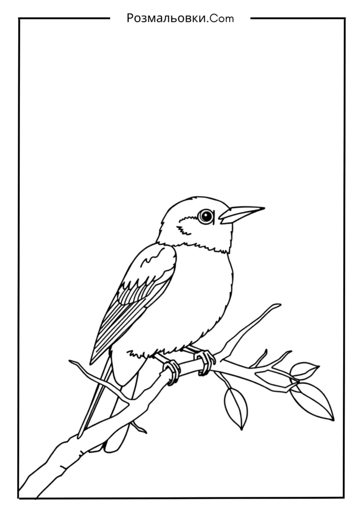 Водні розмальовки: 19+ творчих ідей для дітей 18 Пташка на гілці