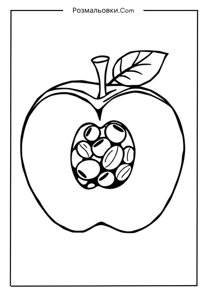 Яблуко розмальовка: 20 креативних ідей для дітей 3 Розрізане яблуко з прихованими насінинами