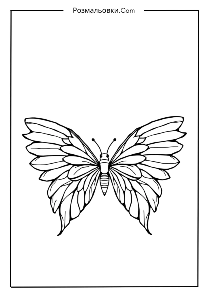 Симетричні крила