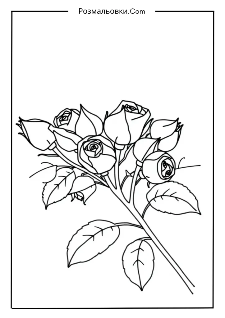 Розмальовка троянда: 21+ ідей для творчості та розвитку дітей 15 Маленькі троянди-бутони