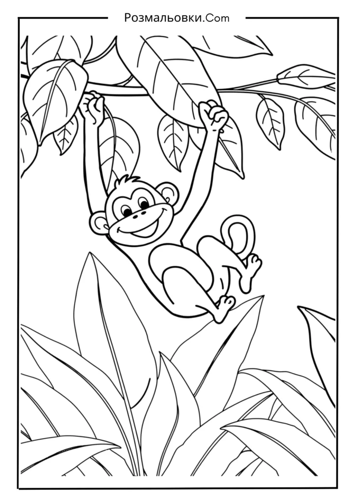 Мавпа на ліані