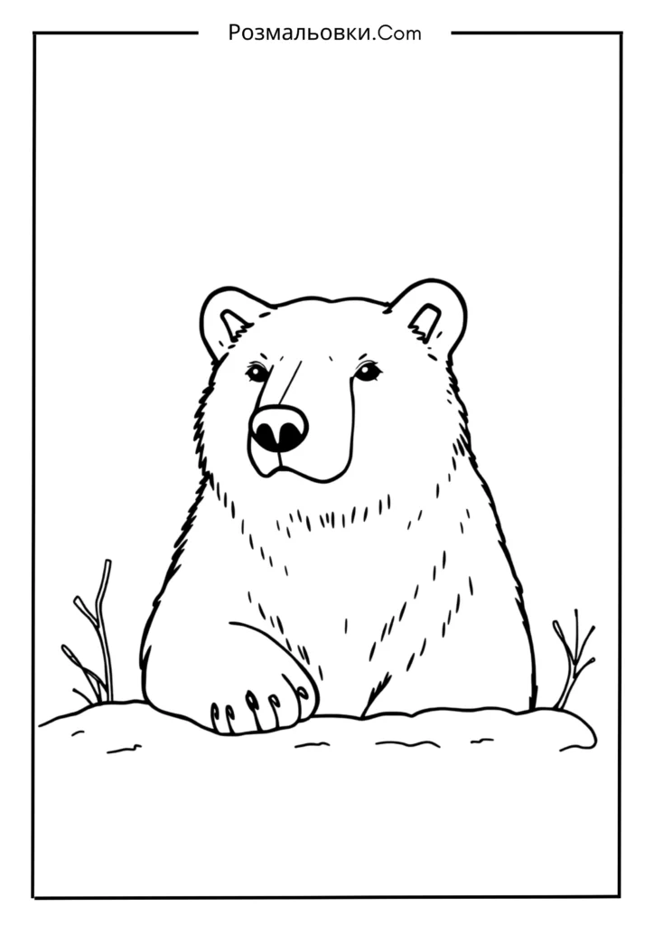 Полярний ведмедик