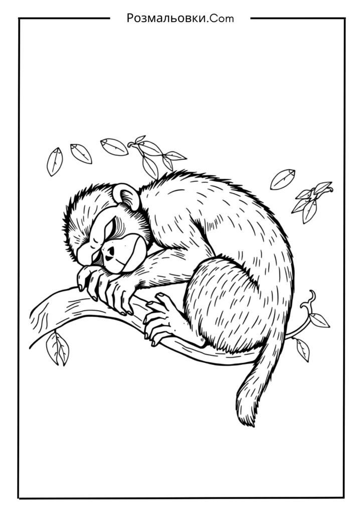 Спляче мавпеня на гілці