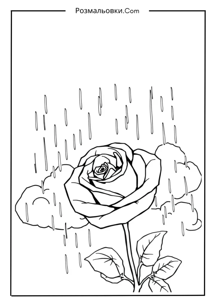 Розмальовка троянда: 21+ ідей для творчості та розвитку дітей 8 Троянда під дощем