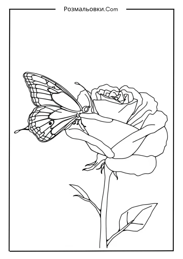 Розмальовка троянда: 21+ ідей для творчості та розвитку дітей 3 Троянда з метеликом