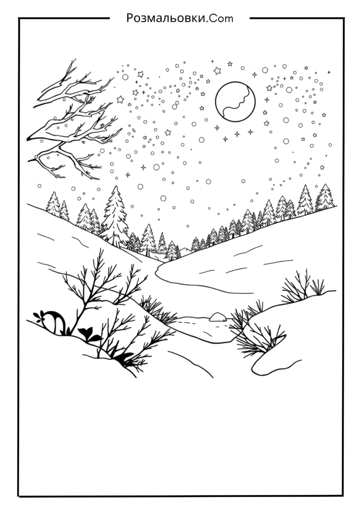 Зимова ніч зі зірками