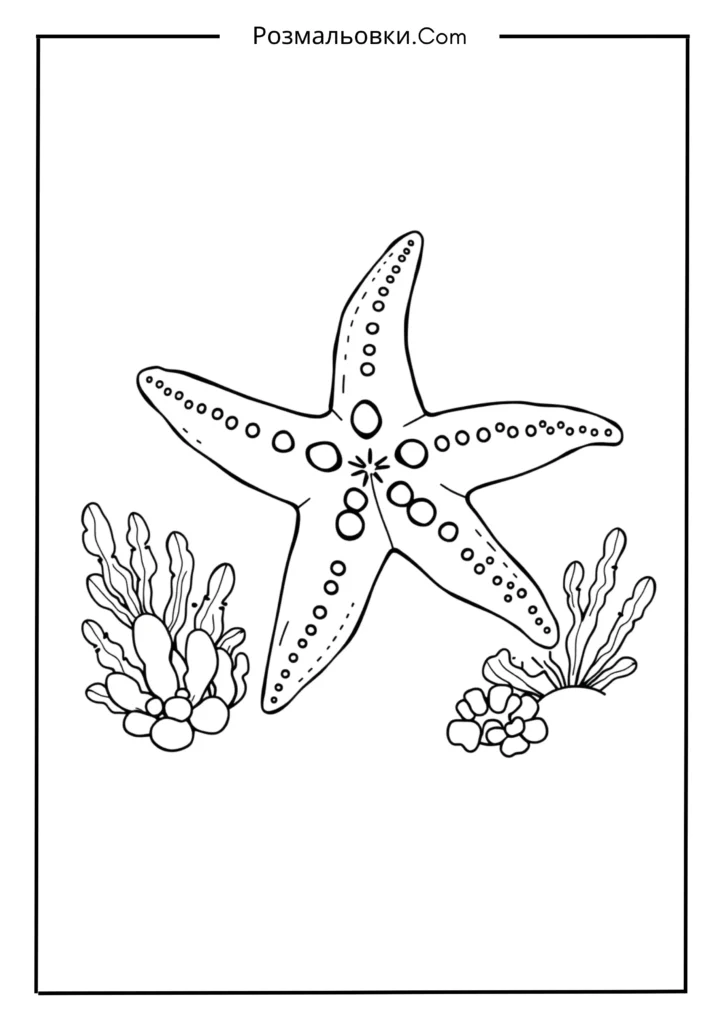 Розмальовка рибка: 20 найкращих ідей для маленьких художників 4 морські зірки