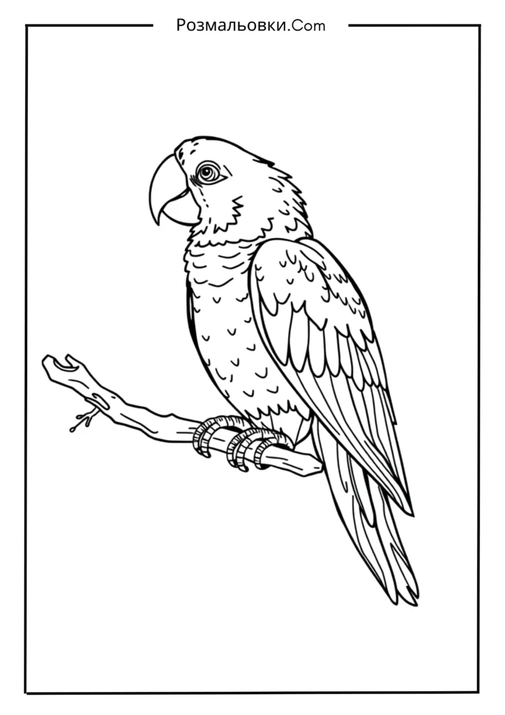 Папуга на гілці в джунглях