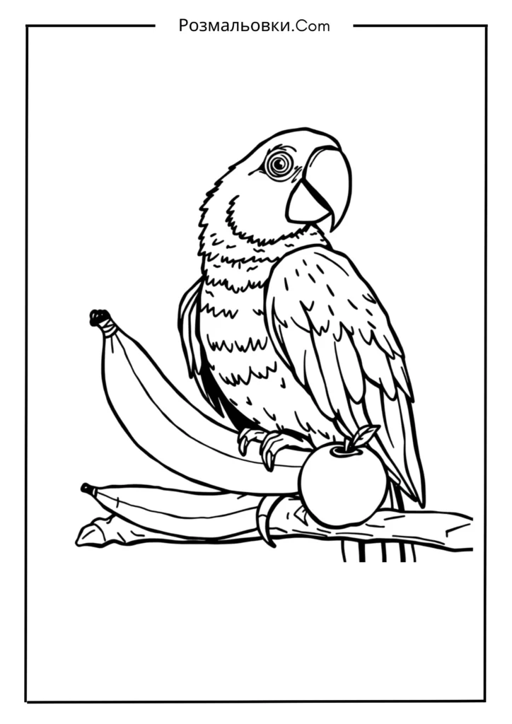 Папуга з фруктами