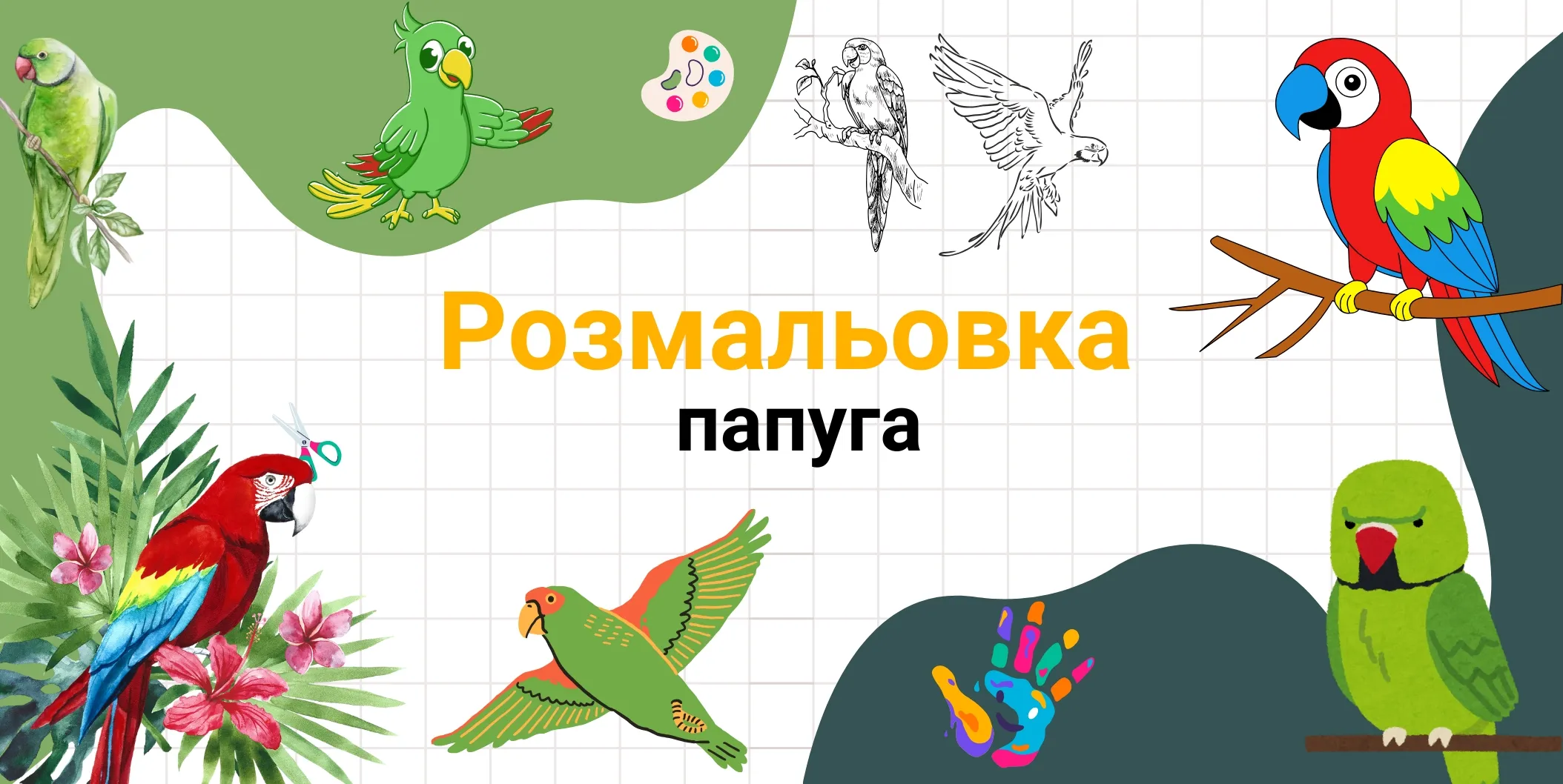 розмальовка папуга