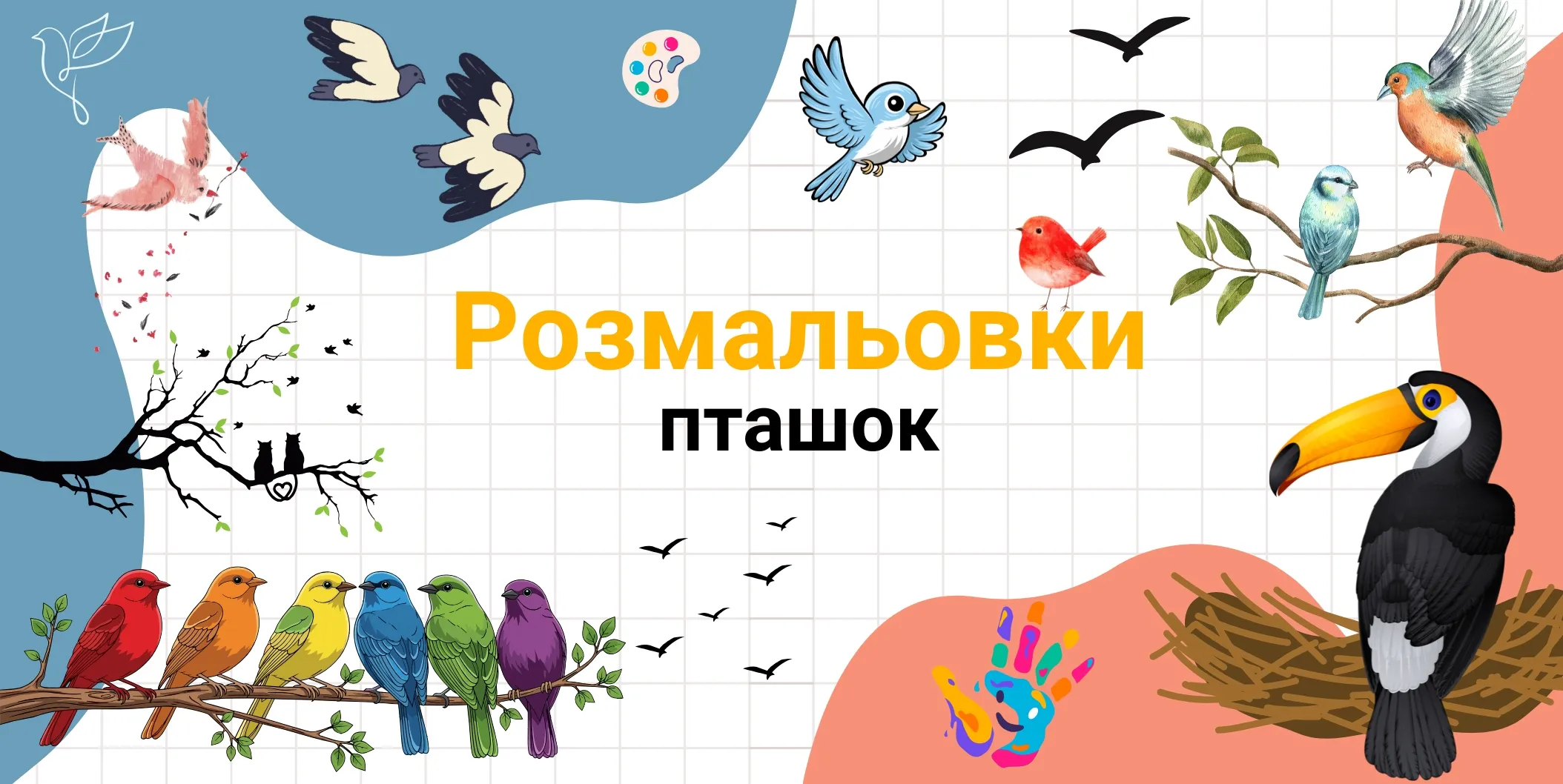 розмальовки пташок