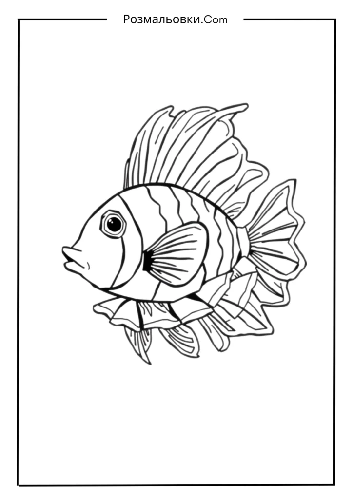 Розмальовка рибка: 20 найкращих ідей для маленьких художників 14 Риба-клоун