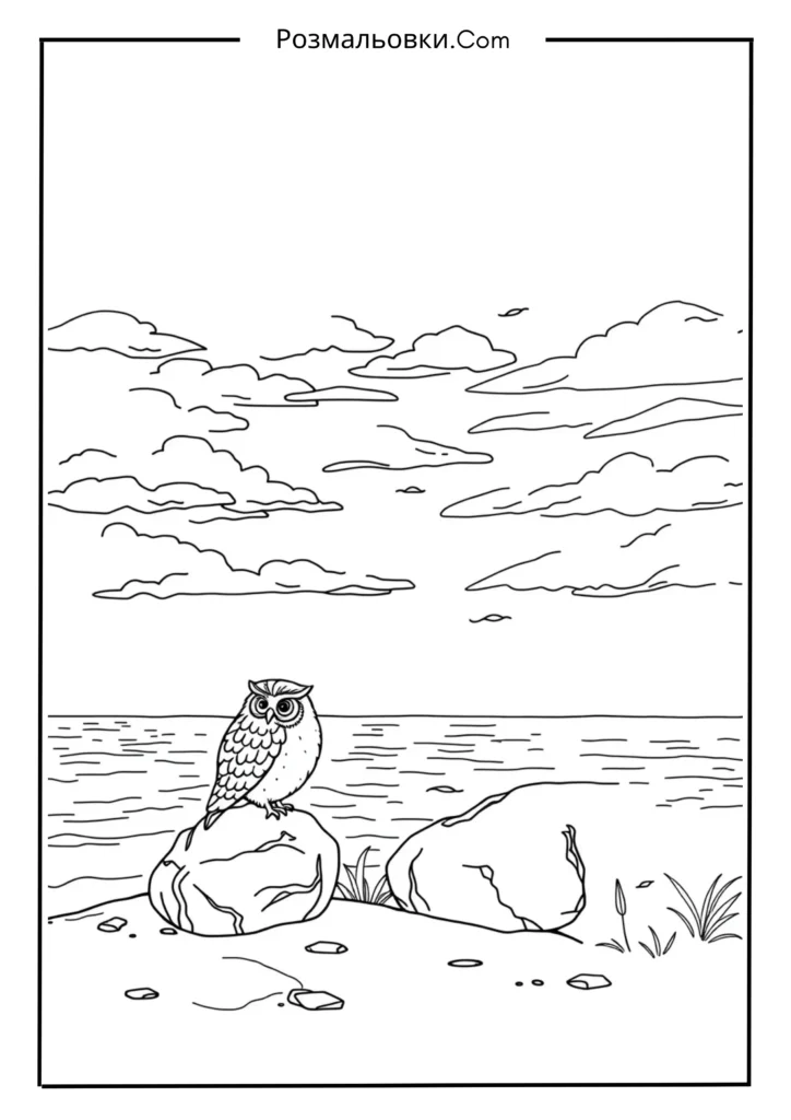 Розмальовка сова — чарівний світ мудрих птахів для дітей 19 Сова біля моря