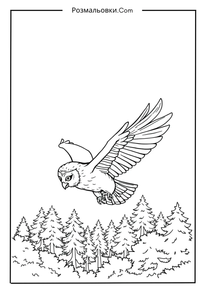 Розмальовка сова — чарівний світ мудрих птахів для дітей 5 Сова у польоті