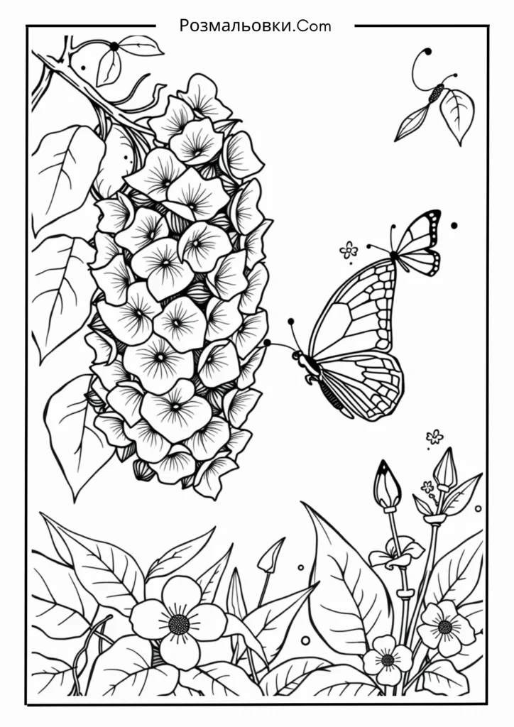 Бузок і метелик