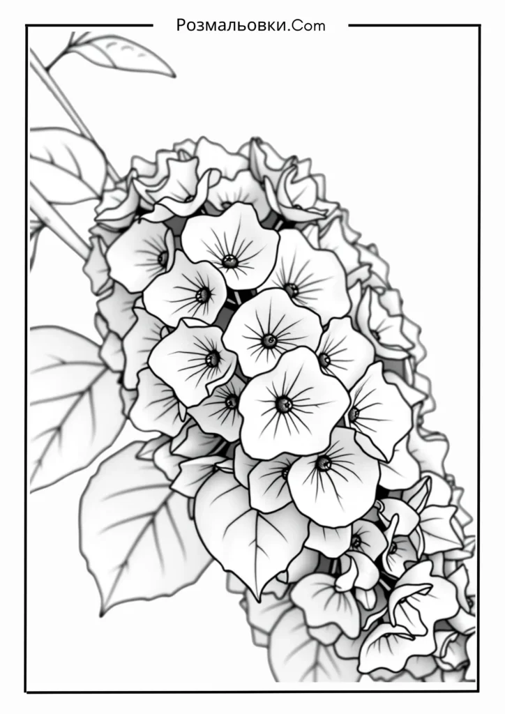 Гілка бузку крупним планом