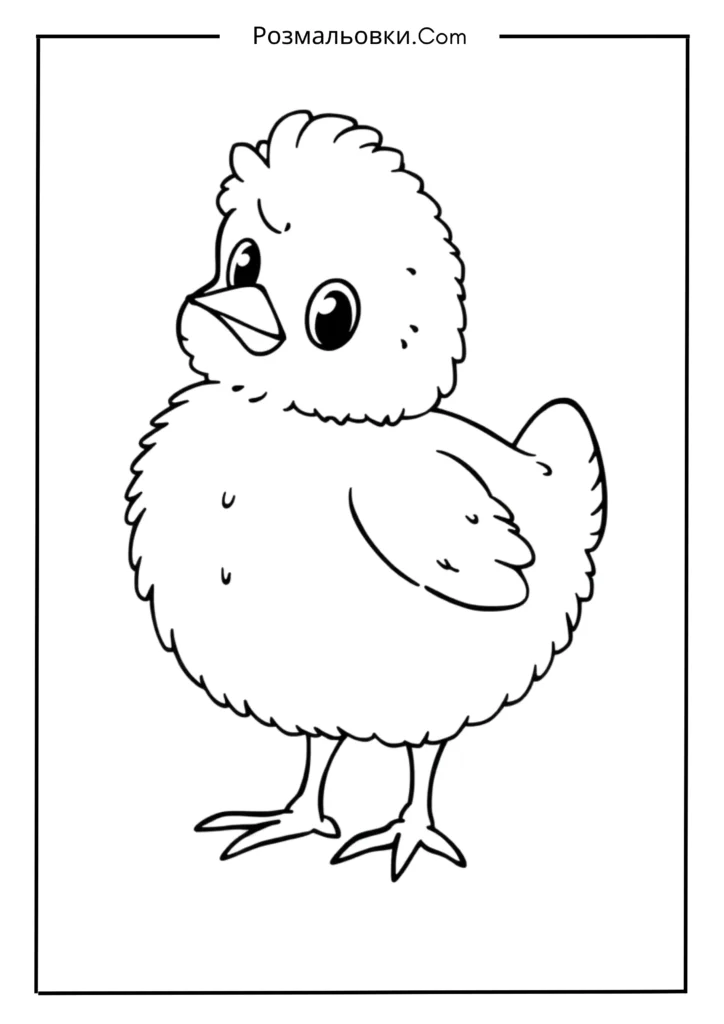 Курча розмальовка – 16 милих ідей для дитячої творчості 2 Маленьке пухнасте курча