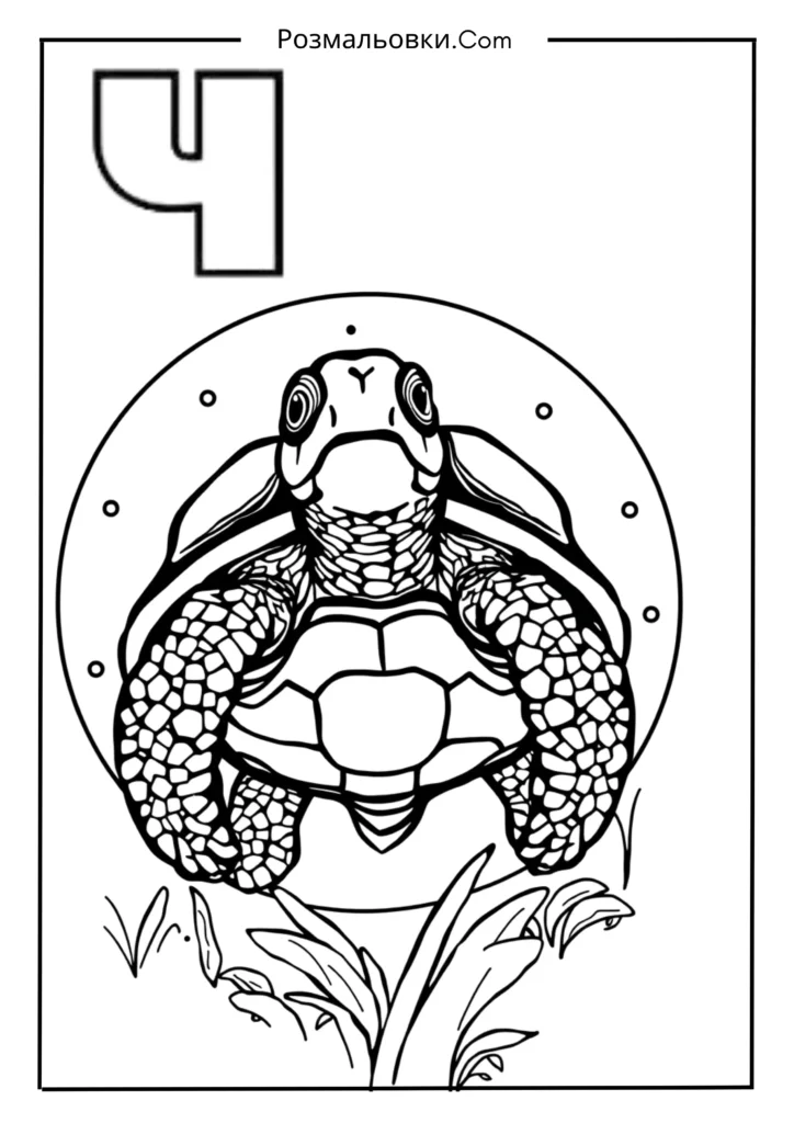 Розмальовки букви українського алфавіту роздрукувати – 30 найкращі ідеї для дітей 15 Ч — ЧЕРЕПАХА