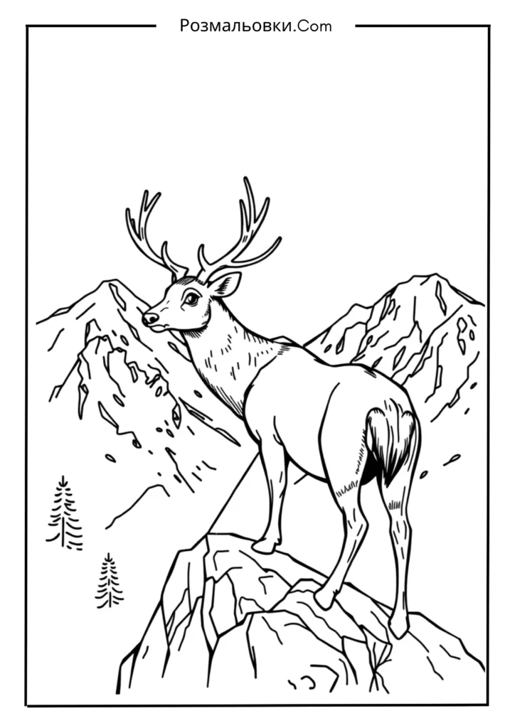 Олень у горах