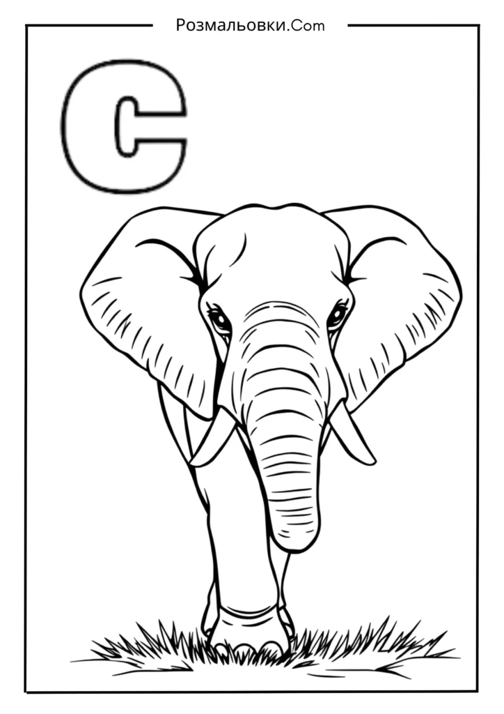 Розмальовки букви українського алфавіту роздрукувати – 30 найкращі ідеї для дітей 12 С — СЛОН