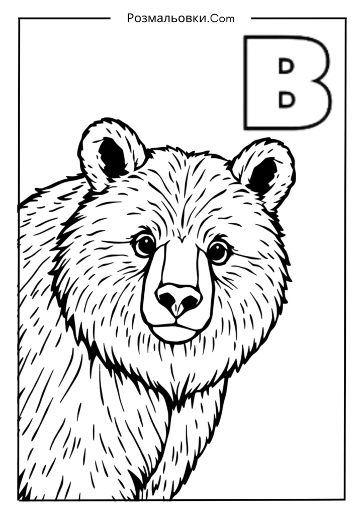 Розмальовки букви українського алфавіту роздрукувати – 30 найкращі ідеї для дітей 3 В — ВЕДМІДЬ