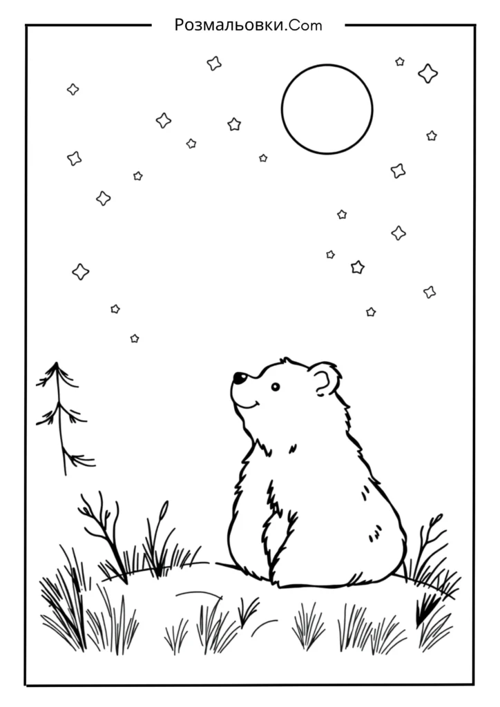 Розмальовка ведмедика: 20 найкращих ідей для дітей і дорослих 11 Ведмедик і зірки
