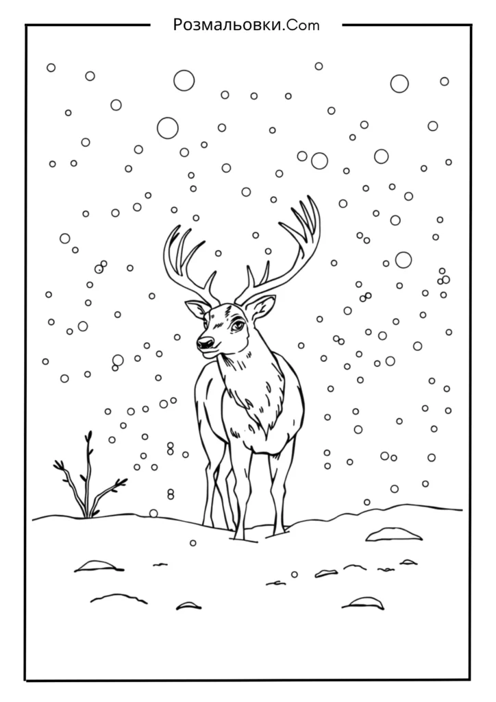 Зимова заметіль