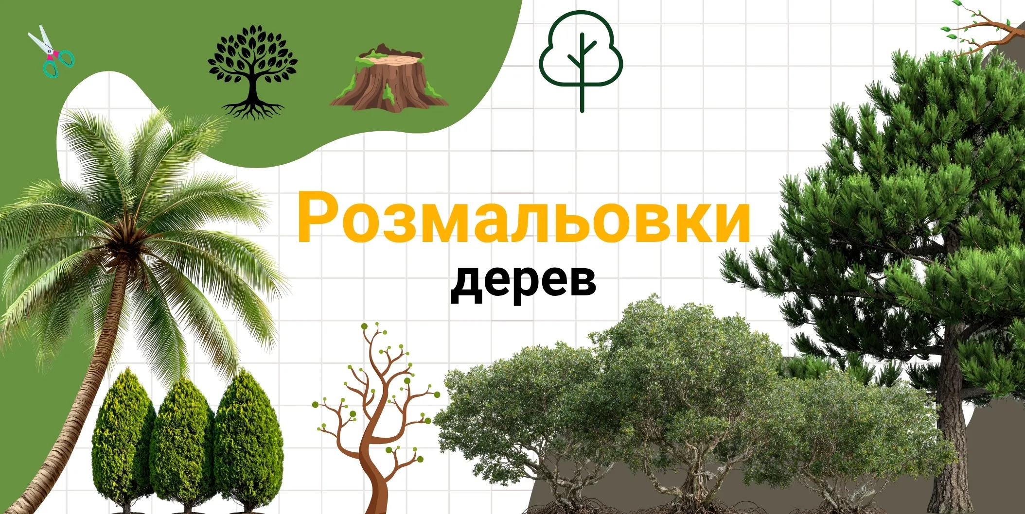 Розмальовки дерев
