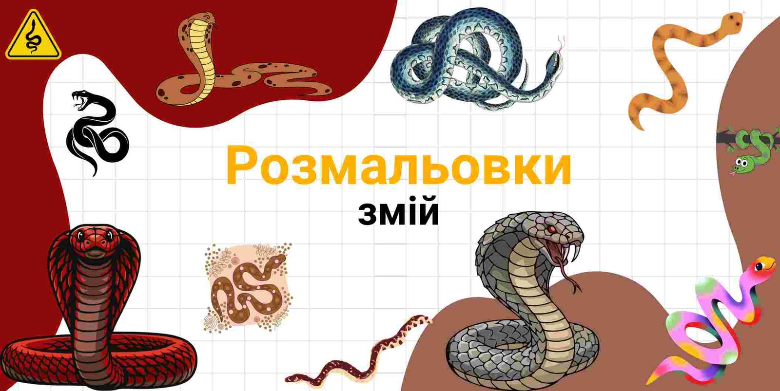 Розмальовки змій