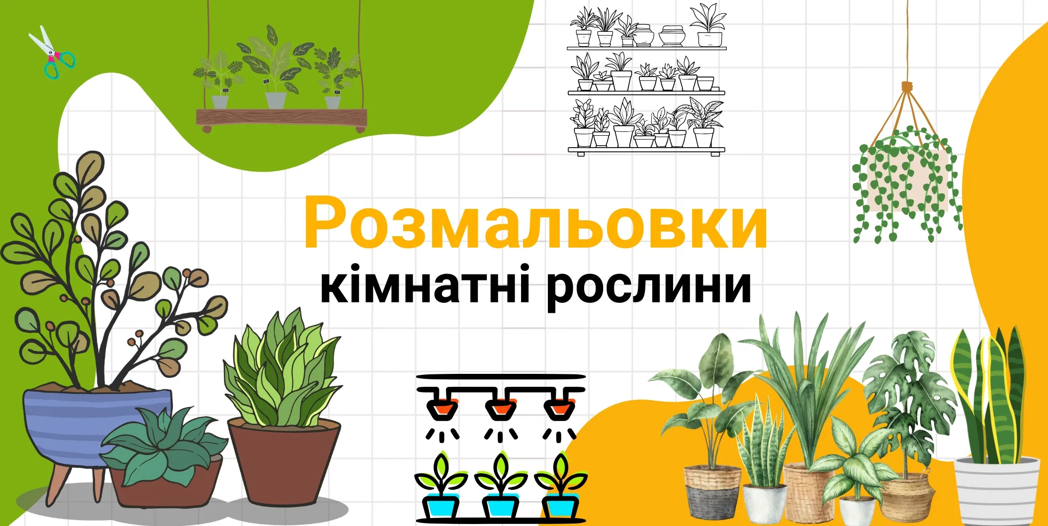 Розмальовка рослини Червоної книги України