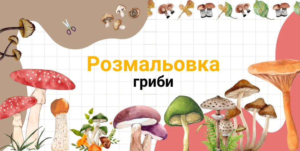 гриби розмальовка