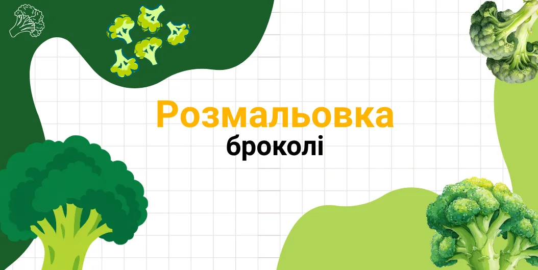 розмальовка «броколі»